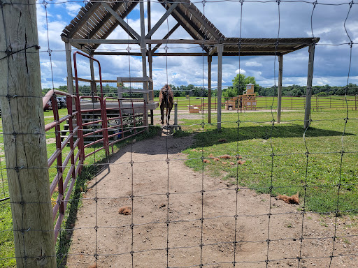 Zoo «Trowbridge Creek Zoo», reviews and photos, 50622 Co Rd 17, Vergas, MN 56587, USA