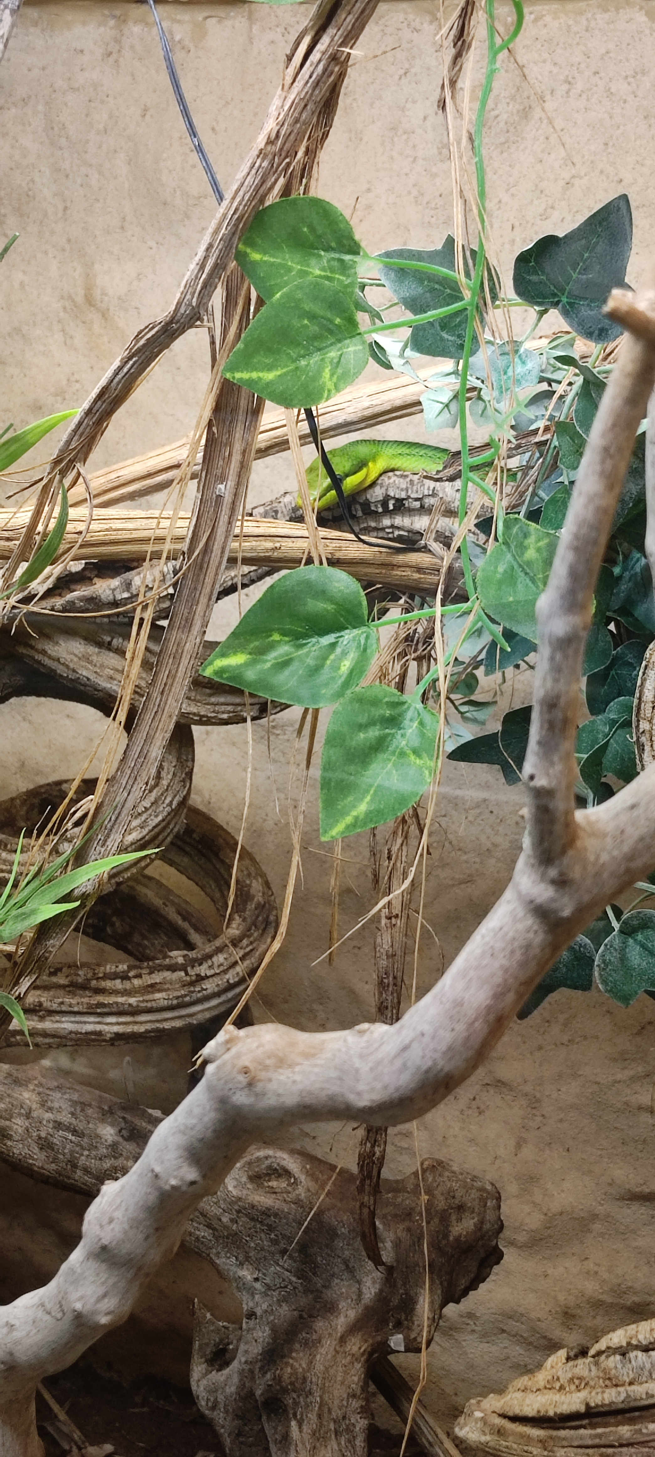 Photo n° 50 de l'avis de Yannick.o fait le 11/02/2023 à 16:29