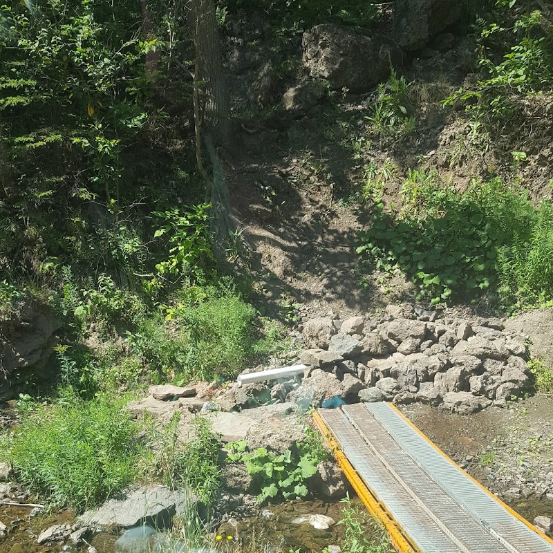 Roadside Spring at Gorge Road and Front Mountain Road