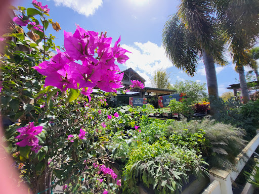 Produce Market «Nelson Family Farms», reviews and photos, 875 W Midway Rd, Fort Pierce, FL 34982, USA