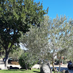 Photo n°2 de l'avis de Silvana.e fait le 03/10/2021 à 15:13 sur le  Cavallino della Giara à Barumini