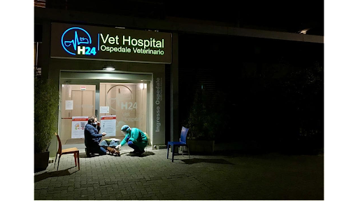 Clinica veterinaria Firenze