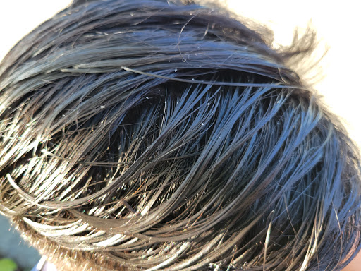 Hair Salon «Great Clips», reviews and photos, 17181 Redmond Way #1500, Redmond, WA 98052, USA