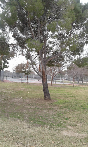 Park «Mariposa Park», reviews and photos, 3150 W Morten Ave, Phoenix, AZ 85051, USA