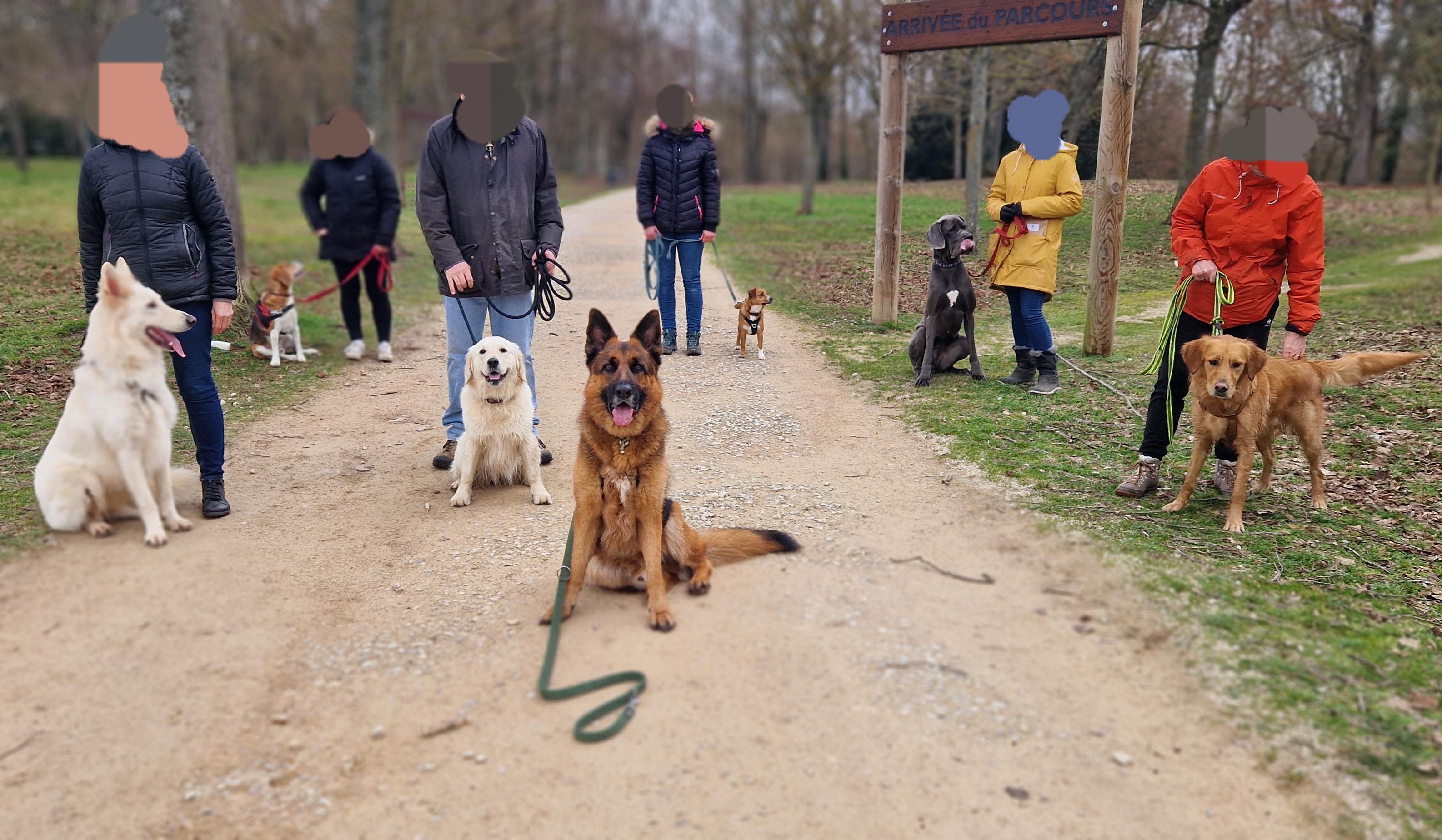 Photo n° 1 de l'avis de Joël.O fait le 20/02/2024 à 11:54