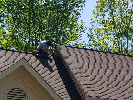 Pest Control Service «Attic Kings», reviews and photos