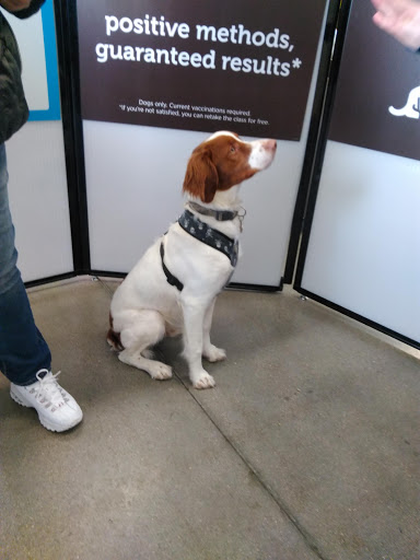 Pet Supply Store «Petco Animal Supplies», reviews and photos, 3430 W State St, Grand Island, NE 68803, USA