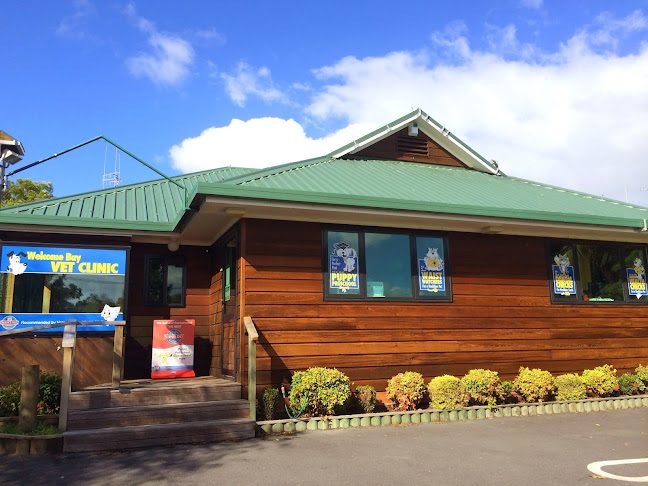 Reviews of Welcome Bay Vet Clinic in Tauranga - Veterinarian