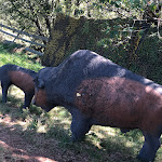 Photo n°4 de l'avis de Paolo.e fait le 15/12/2023 à 12:26 sur le  Pensione Resy à Bolzano