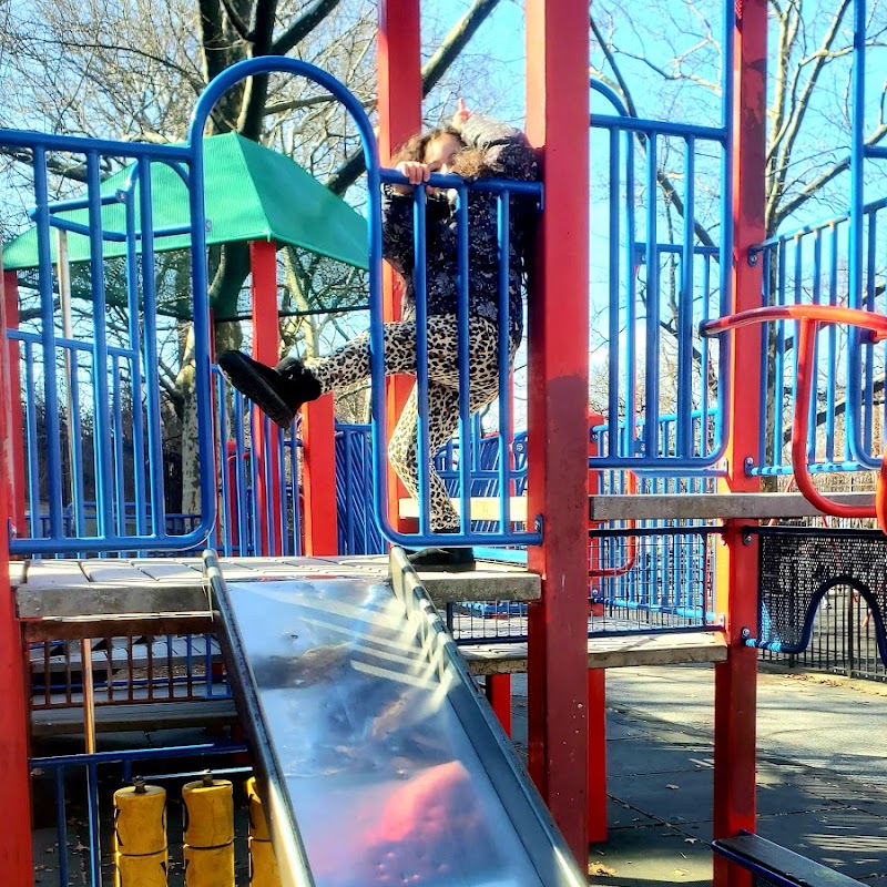 Lily Brown Playground