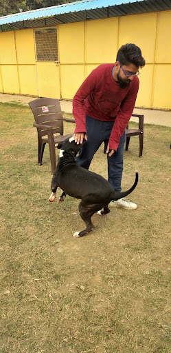 कुत्ता प्रशिक्षण कक्षाएं दिल्ली