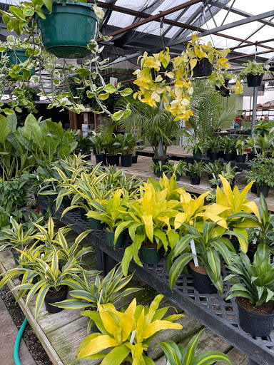 Florist «Platte Floral», reviews and photos, 1417 E Platte Ave, Colorado Springs, CO 80909, USA