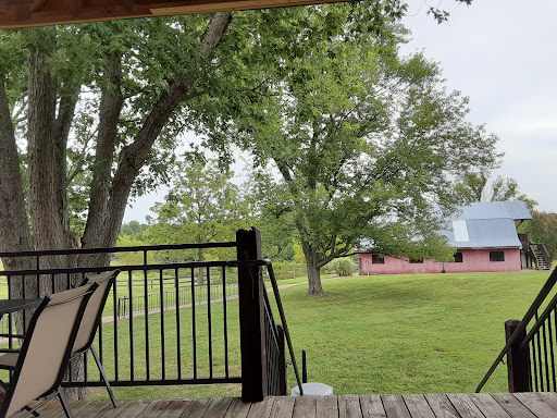 Winery «Wild Sun Winery», reviews and photos, 4830 Pioneer Rd, Hillsboro, MO 63050, USA