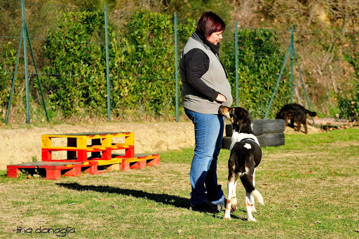 Pensioni per cani e dog hotel a Rifugio Parco Verde