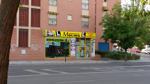 Autoescuela Molina Plaza Europa en Granada provincia Granada