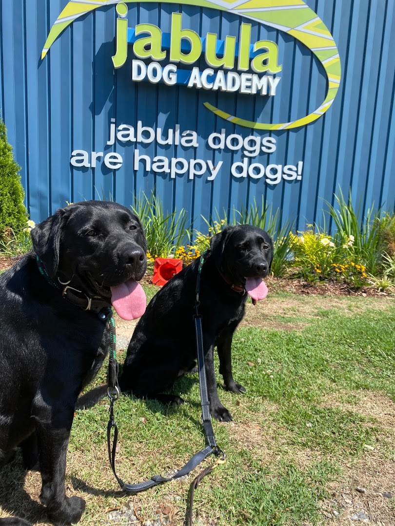 Jabula Dog Academy