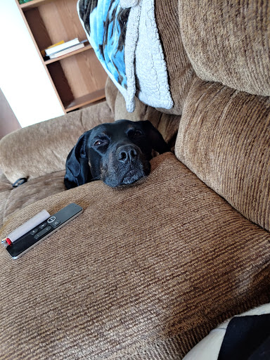 Pet Supply Store «Petco Animal Supplies», reviews and photos, 16095 W Bluemound Rd, Brookfield, WI 53005, USA