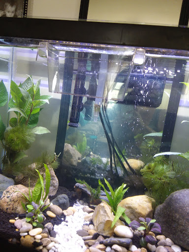 Tropical Fish Store «Monfort Aquarium & Pet», reviews and photos, 6520 Colerain Ave, Cincinnati, OH 45239, USA