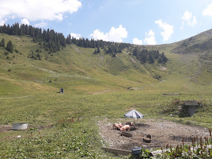 Photo n°65 de Alpage de l'Airon à Arâches-la-Frasse ()