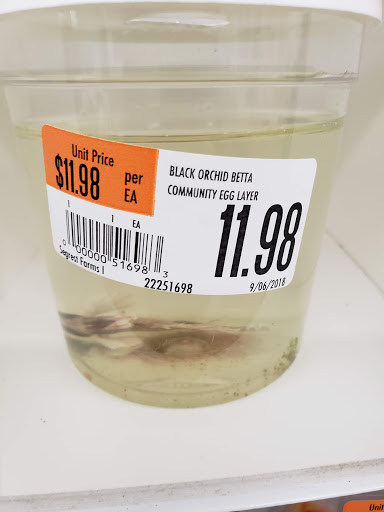 Pet Supply Store «Pet Supplies Plus», reviews and photos, 17205 S Golden Rd, Golden, CO 80401, USA