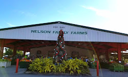 Nelson Family Farms