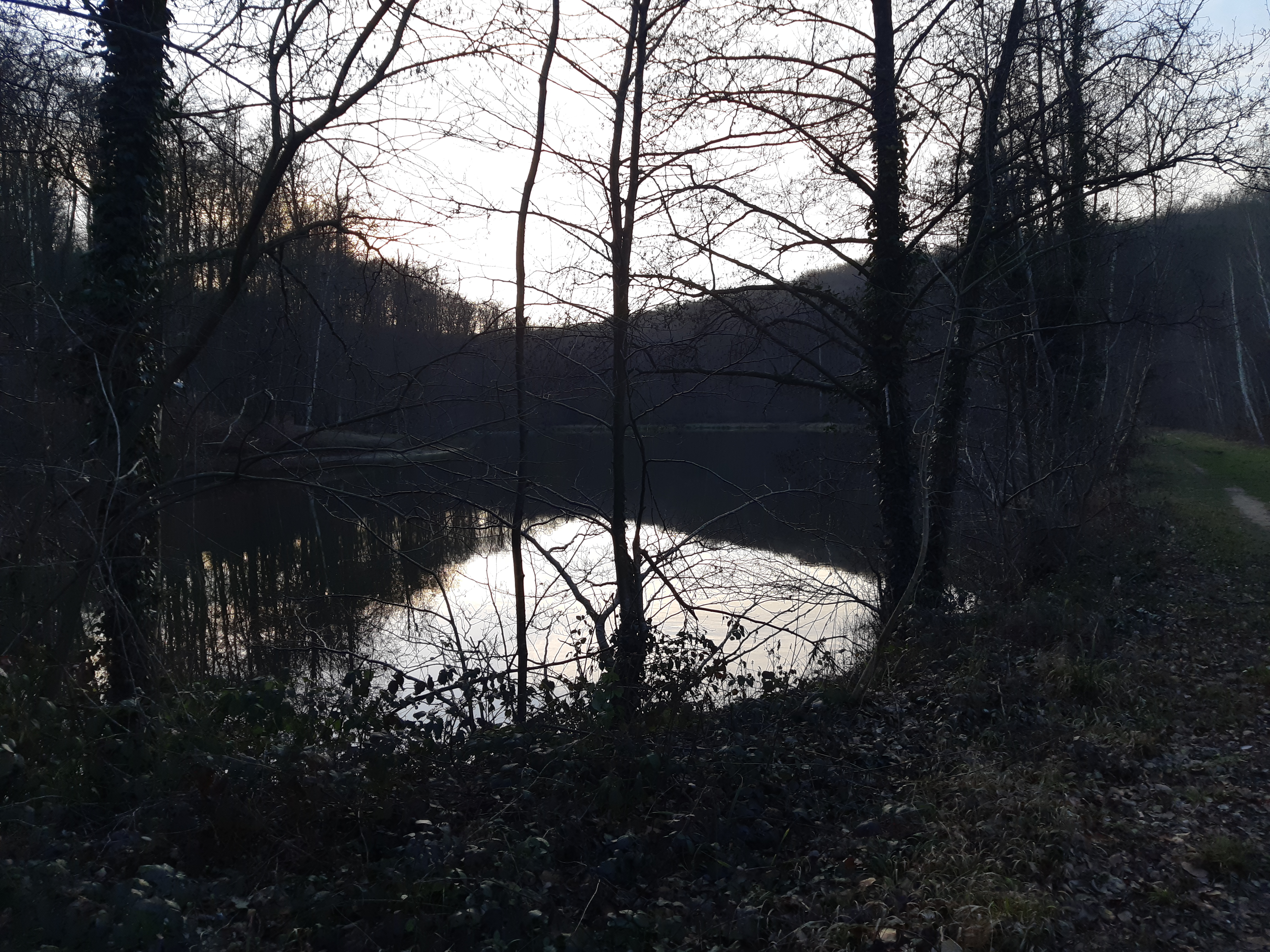 Photo n° 4 de l'avis de Severine.E fait le 08/02/2023 à 20:06