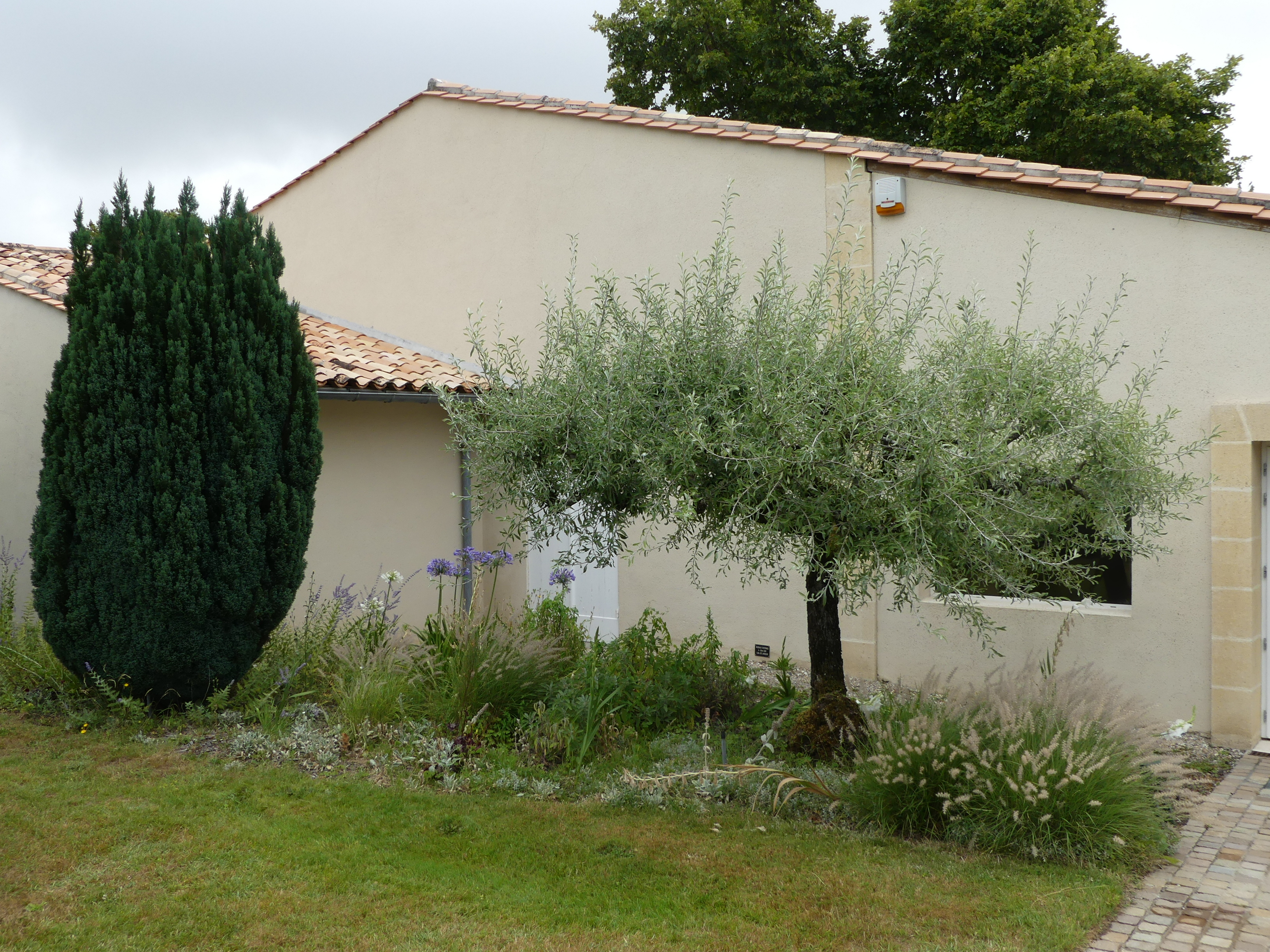 Photo n° 36 de l'avis de Roland.a fait le 17/07/2020 à 19:13