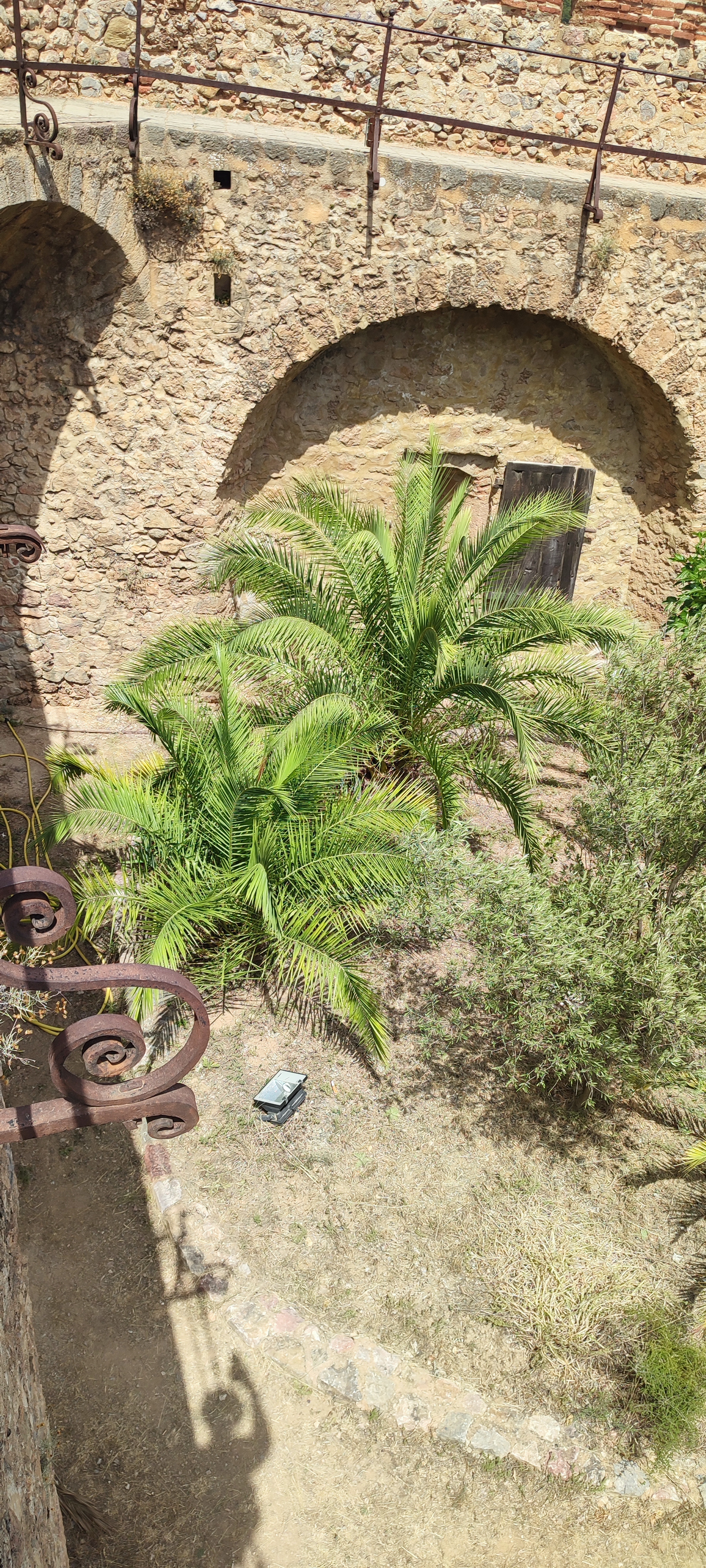 Photo n° 10 de l'avis de Cedric.o fait le 29/08/2023 à 18:55