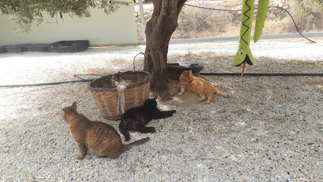 Αριθμός τηλεφώνου Takis shelter