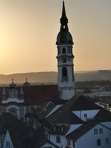 Mitsommerfest Frauenfeld - Markt