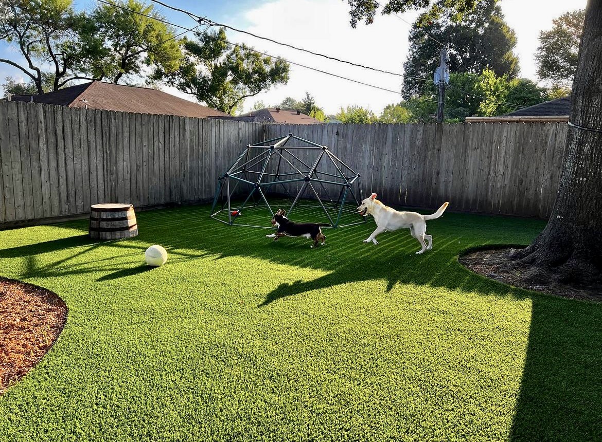 Bayou City Pet Sitting