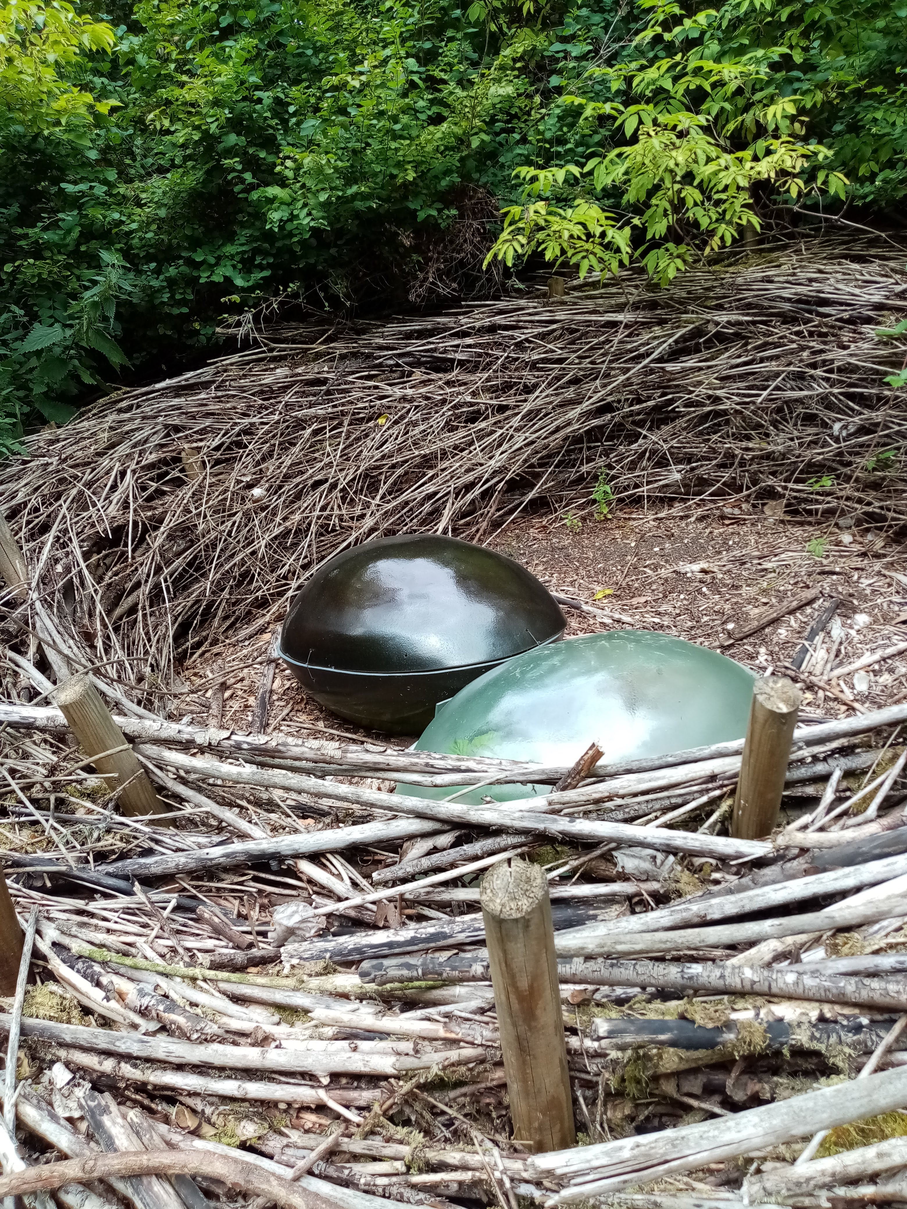 Photo n° 34 de l'avis de Marielaure.a fait le 25/07/2023 à 19:08