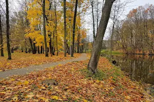 Liudvinavo parkas image