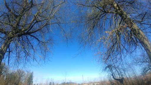 Nature Preserve «Foster Floodplain Natural Area», reviews and photos, 10602 SE Foster Rd, Portland, OR 97266, USA