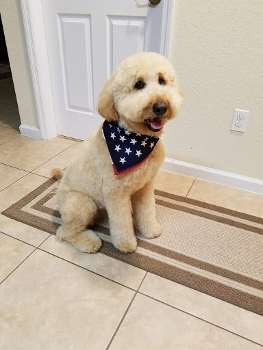 Pet Supply Store «Pet Supermarket», reviews and photos, 4500 N State Rd 7, Pompano Beach, FL 33073, USA