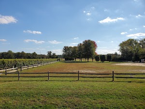 White Horse Winery - photo 58