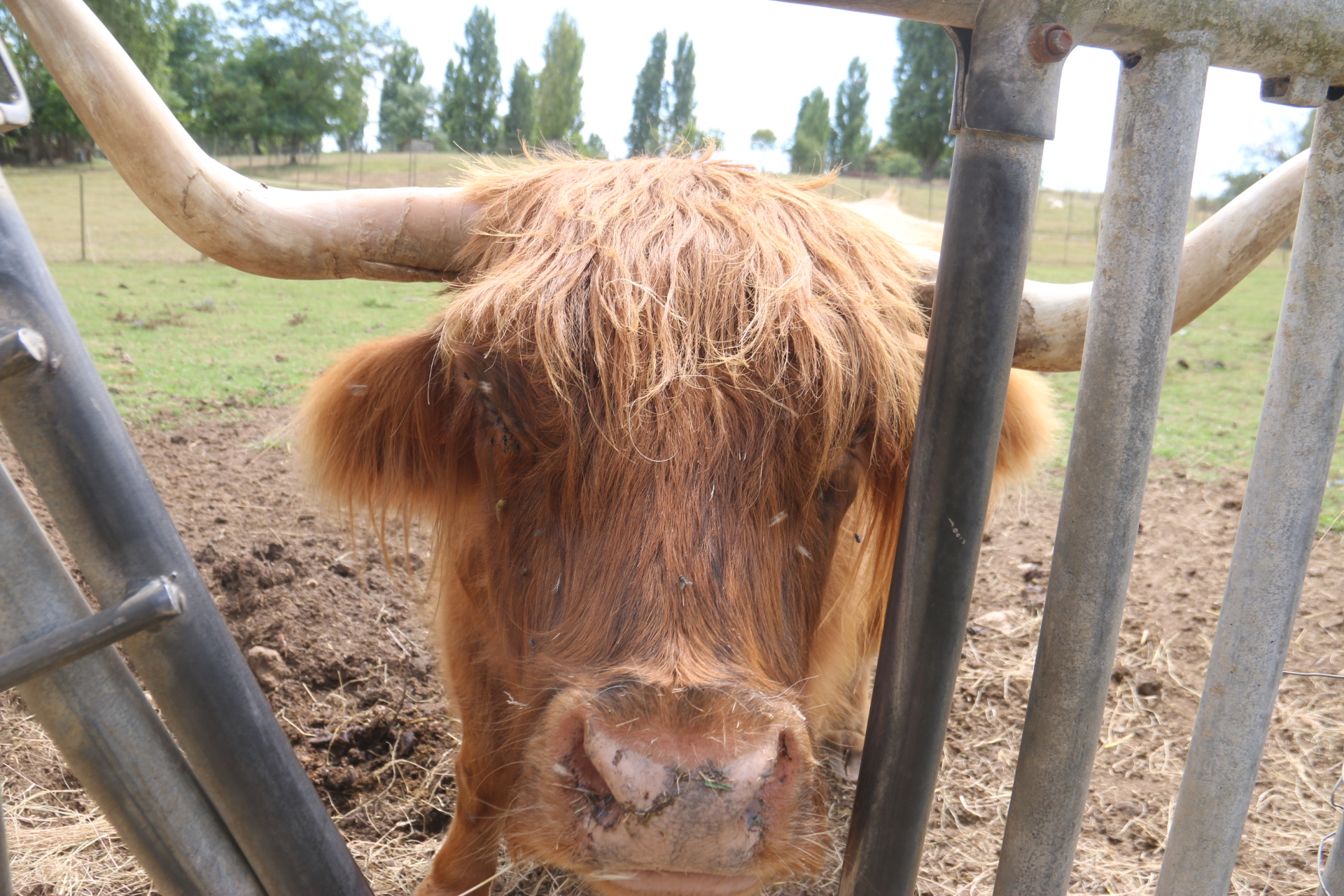 Photo n° 6 de l'avis de Patrice.o fait le 18/08/2023 à 18:06