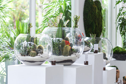 Interior Plant Service «Plant The Future, Inc.», reviews and photos, 2511 NW 2nd Ave, Miami, FL 33127, USA