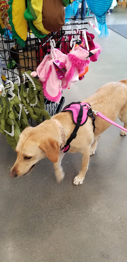 Pet Supply Store «Pet Supplies Plus», reviews and photos, 21703 Village Lakes Shopping Center Dr, Land O Lakes, FL 34639, USA