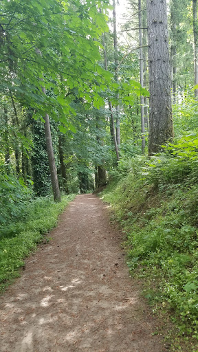 Golf Course «Chehalem Glenn Golf Course», reviews and photos, 4501 E Fernwood Rd, Newberg, OR 97132, USA