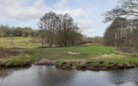 Seven Acres Local Nature Reserve image