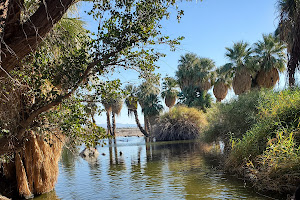 Yuma Conservation Garden