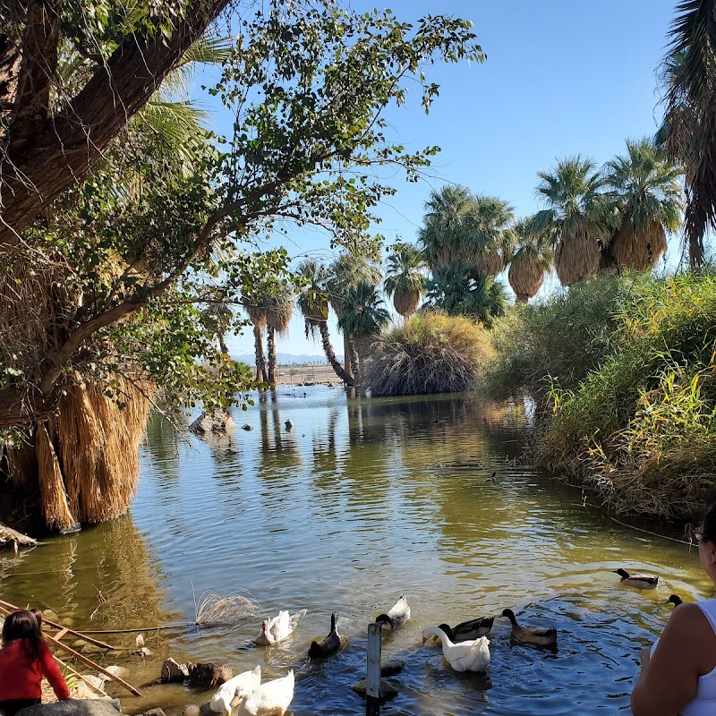 Yuma Conservation Garden