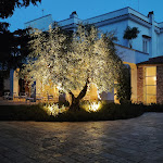 Photo n°4 de l'avis de Vincenzo.a fait le 12/05/2024 à 20:08 sur le  Villa La Siragusa à Palombaio