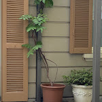 Photo n°1 de l'avis de Morgan. fait le 17/07/2022 à 19:54 sur le  Antica Locanda Leonardo à Milan