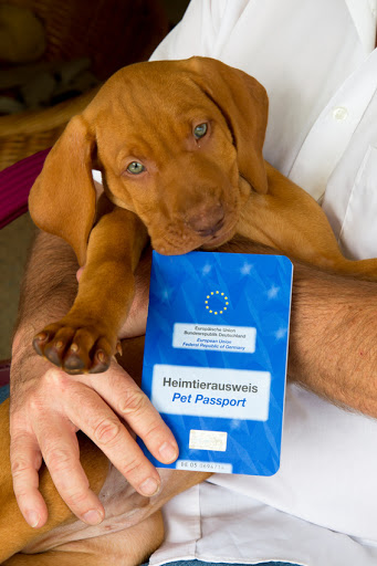 Dr. med. vet. Ilka Fuhrmann unter Duisburg, 