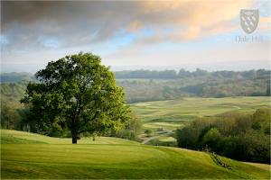 Dale Hill Hotel & Golf Club image