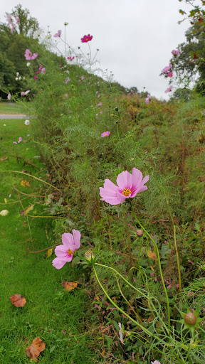 Golf Club «Compass Pointe Golf Courses», reviews and photos, 9010 Fort Smallwood Rd, Pasadena, MD 21122, USA