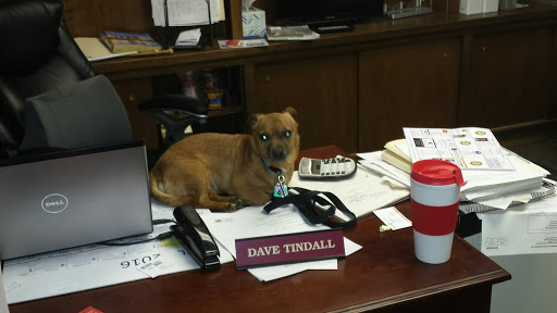 Moving and Storage Service «My Guys Moving & Storage Virginia Beach», reviews and photos, 1345 Taylor Farm Rd, Virginia Beach, VA 23453, USA