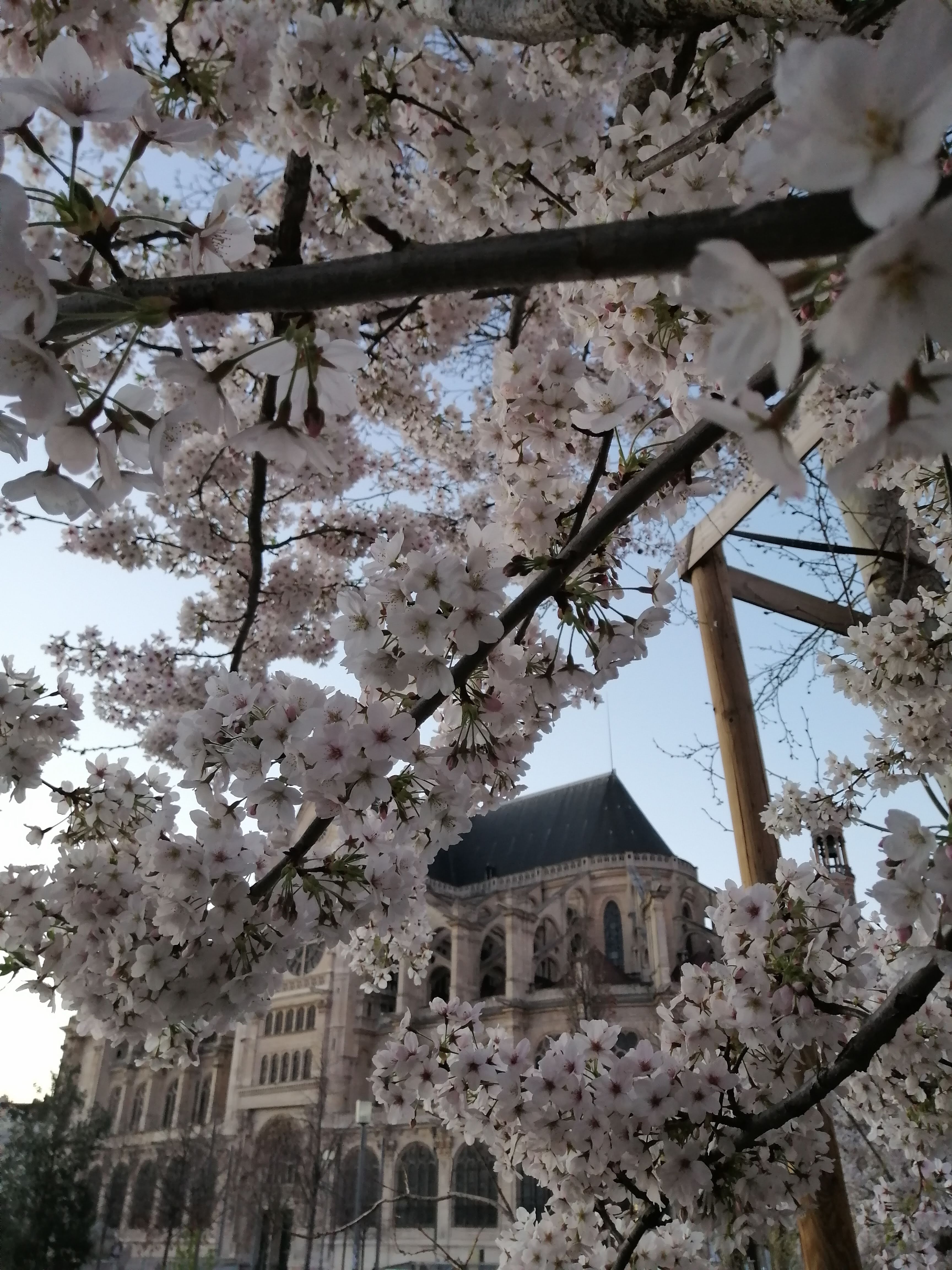 Photo n° 1 de l'avis de Davide.a fait le 17/03/2020 à 09:20